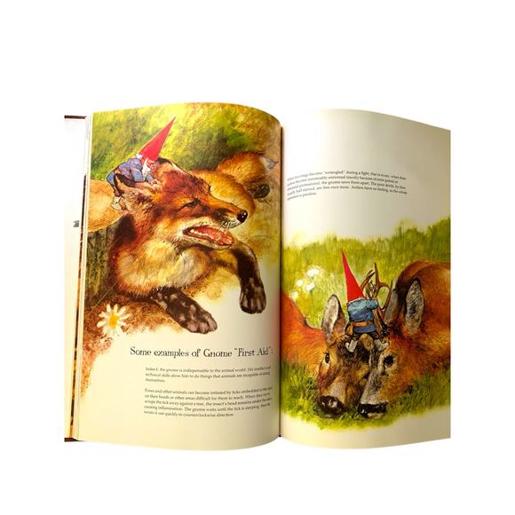 Gnomes First American Edition Hardcover with Dust Jacket 1977 - Picture 6 of 10